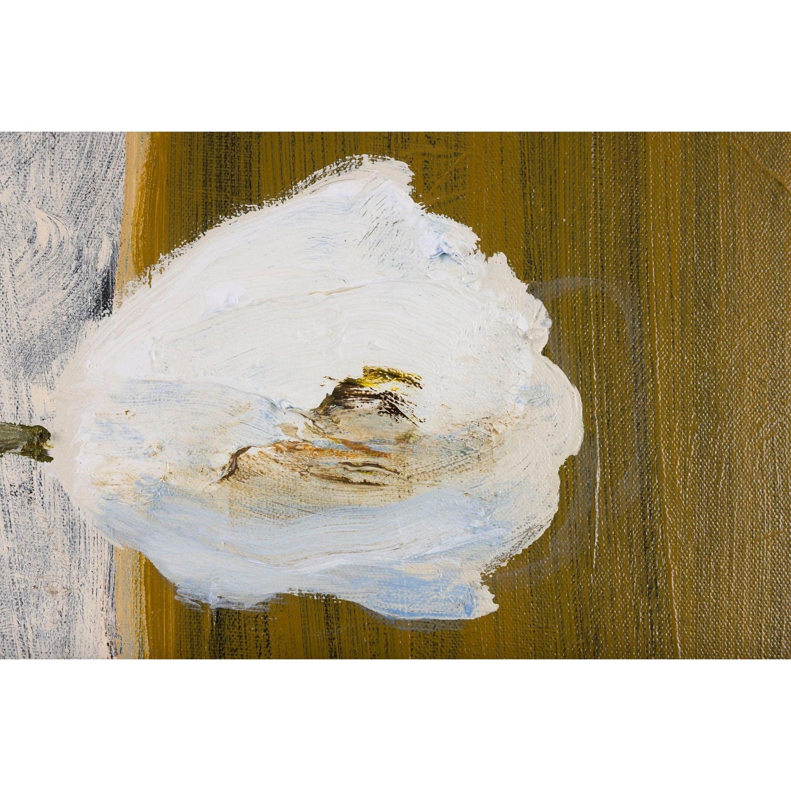 White Flowers, Terracotta Vase, oil on canvas by David Pearce, available at Padstow Gallery, Cornwall