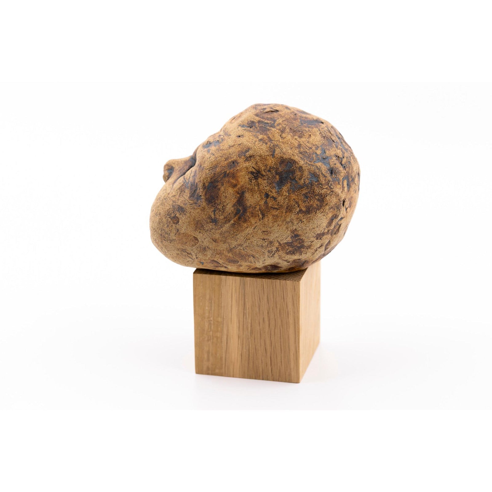 RT13 Babe by Ruth Thurbon available at Padstow Gallery, Cornwall