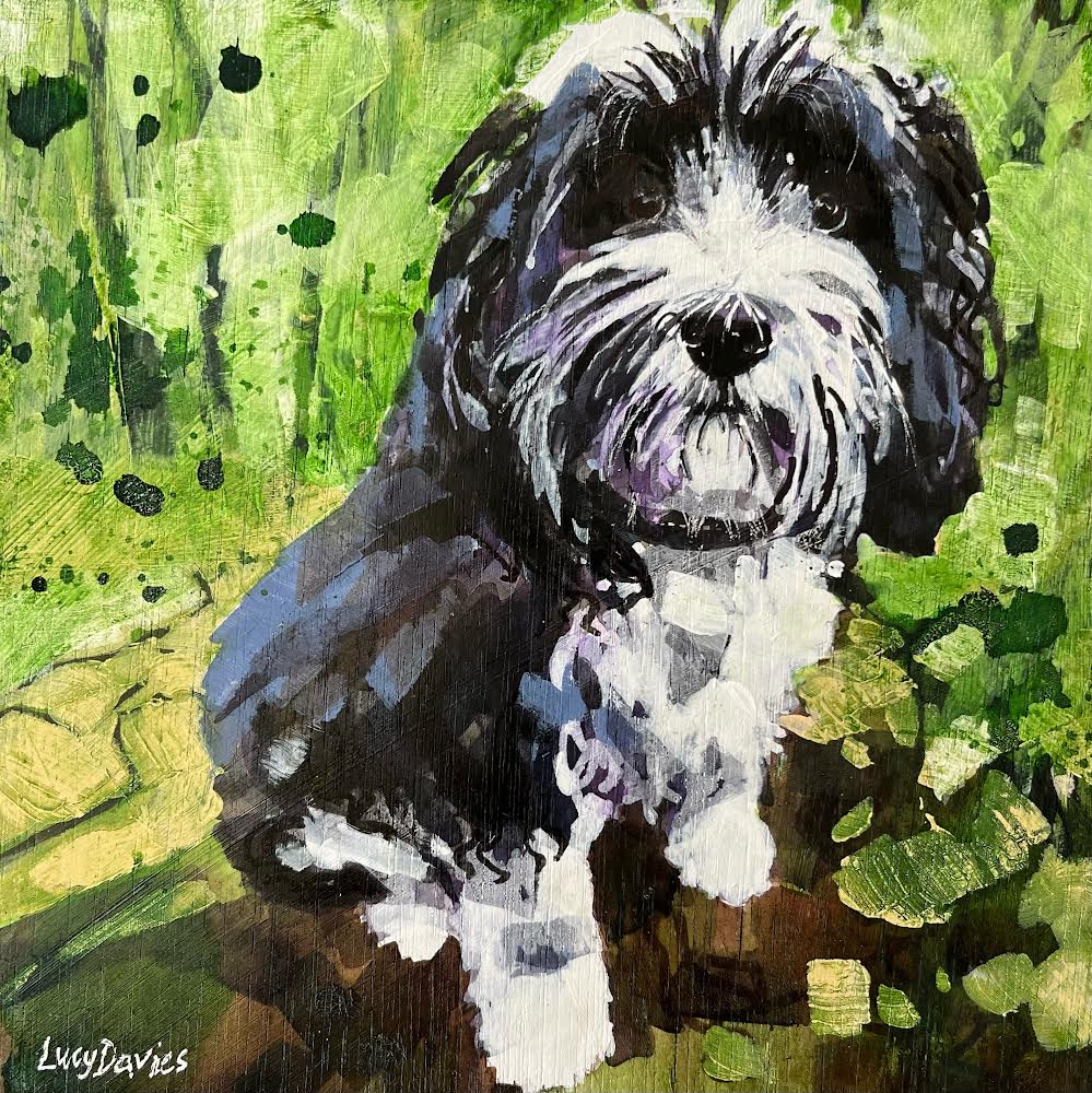 Tara the Tibetan terrier by Lucy Davies available at Padstow Gallery, Cornwall