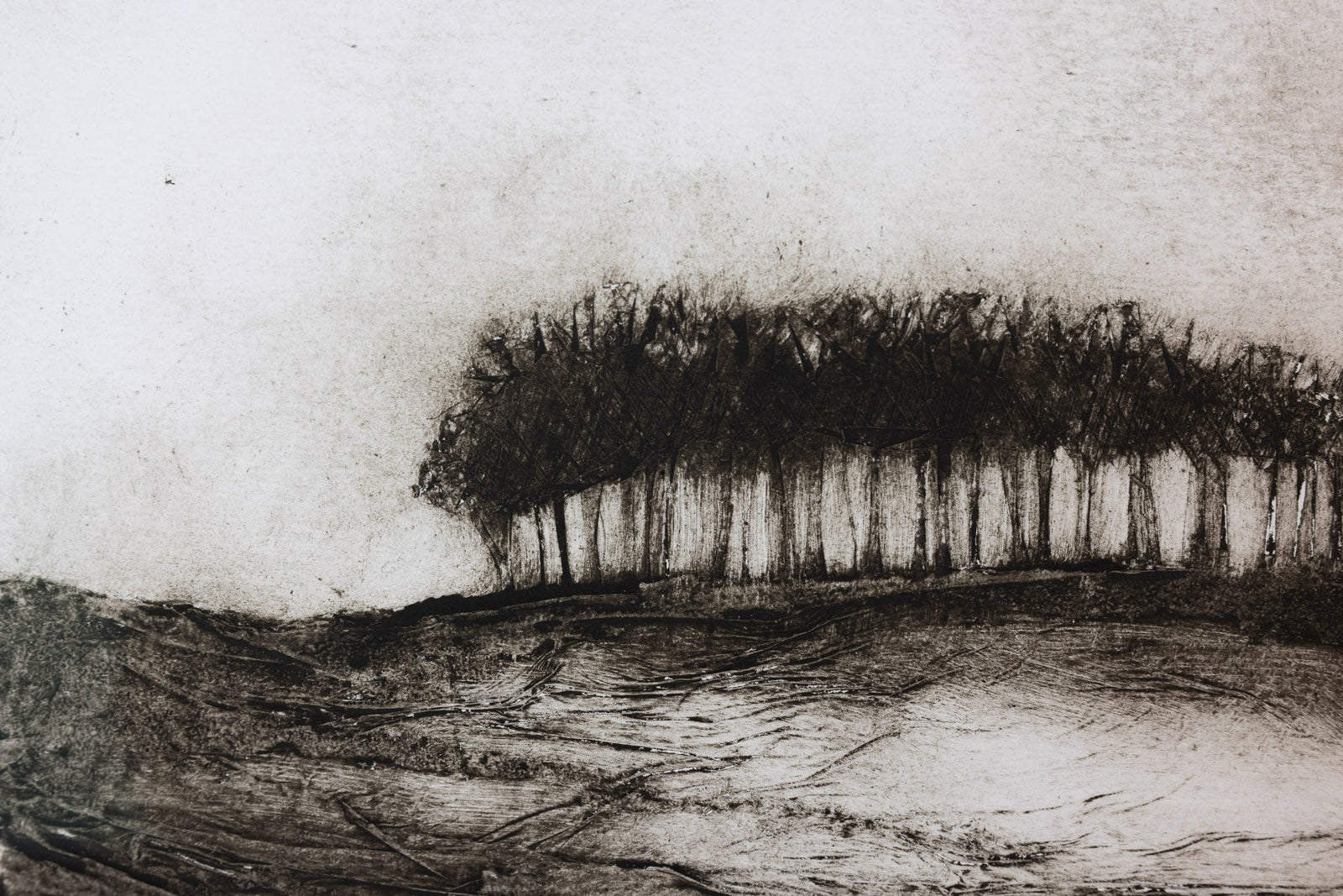 close up of 'Morning Promise' framed collagraph by Zoe Duncan available at Padstow Gallery, Cornwall