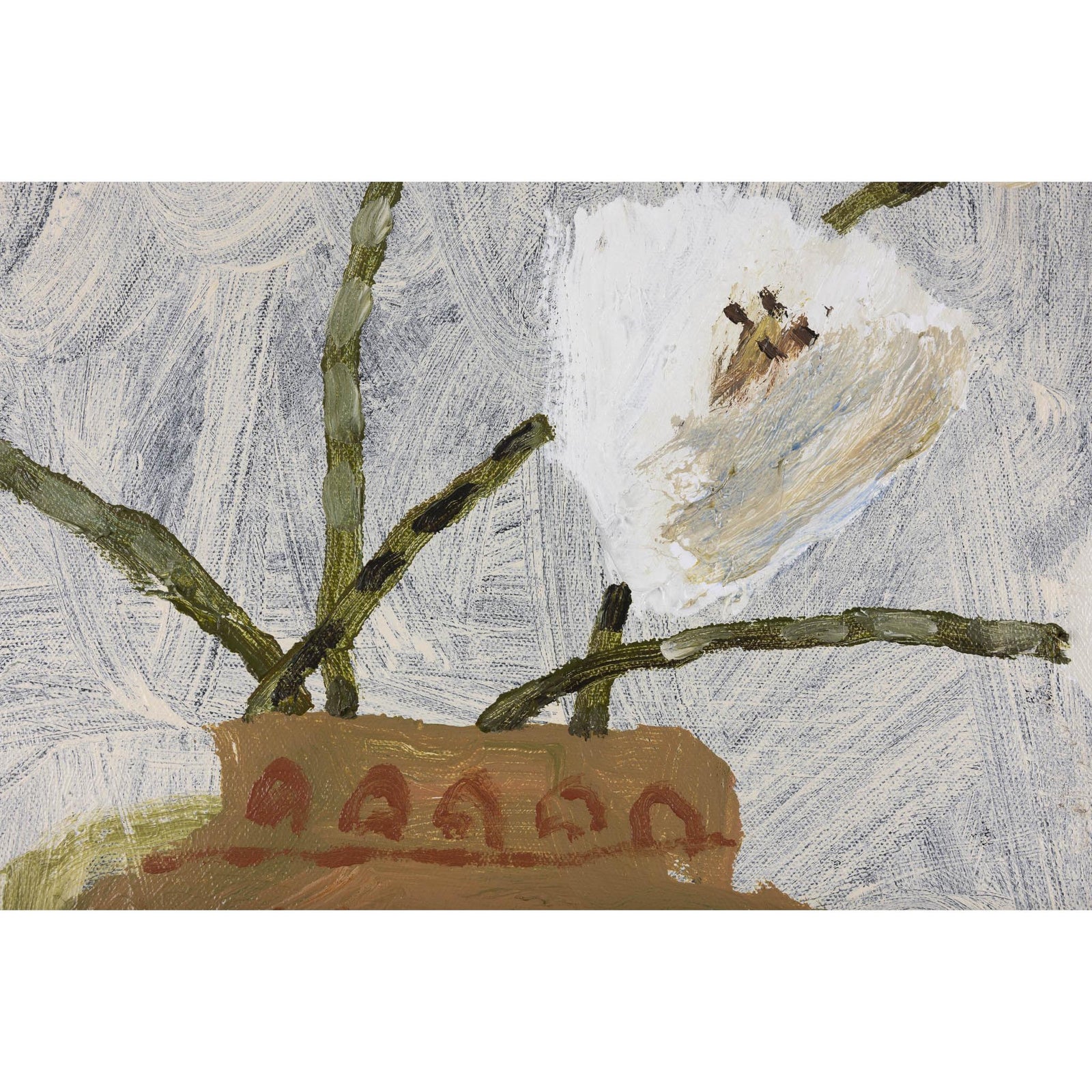 White Flowers, Terracotta Vase, oil on canvas by David Pearce, available at Padstow Gallery, Cornwall