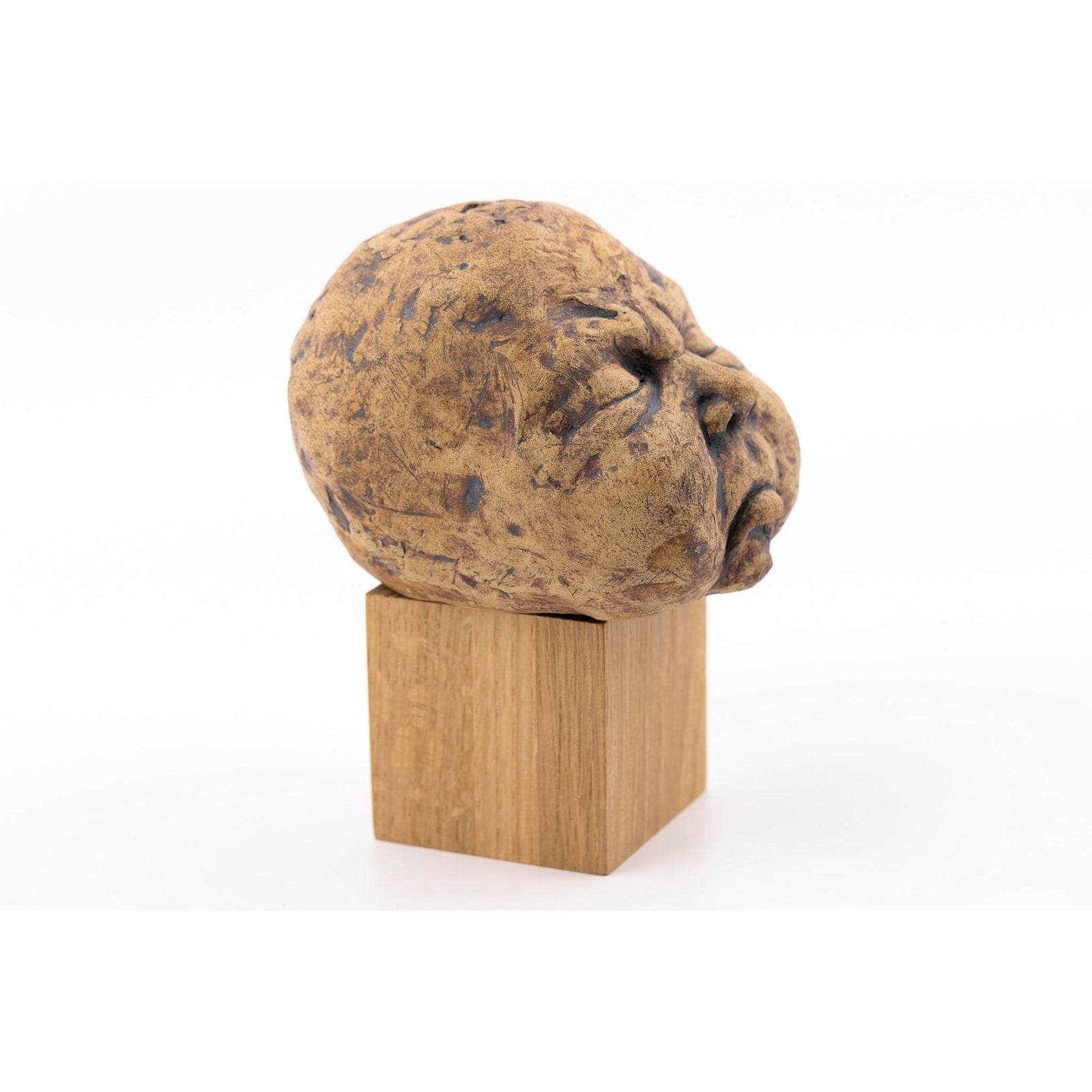 RT13 Babe by Ruth Thurbon available at Padstow Gallery, Cornwall