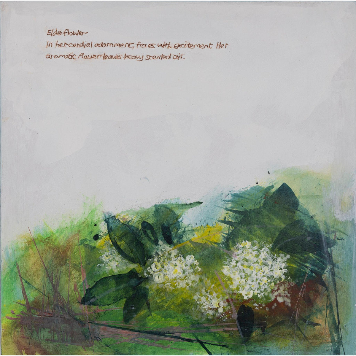 Elderflower by Ian Rawnsley available at Padstow Gallery, Cornwall