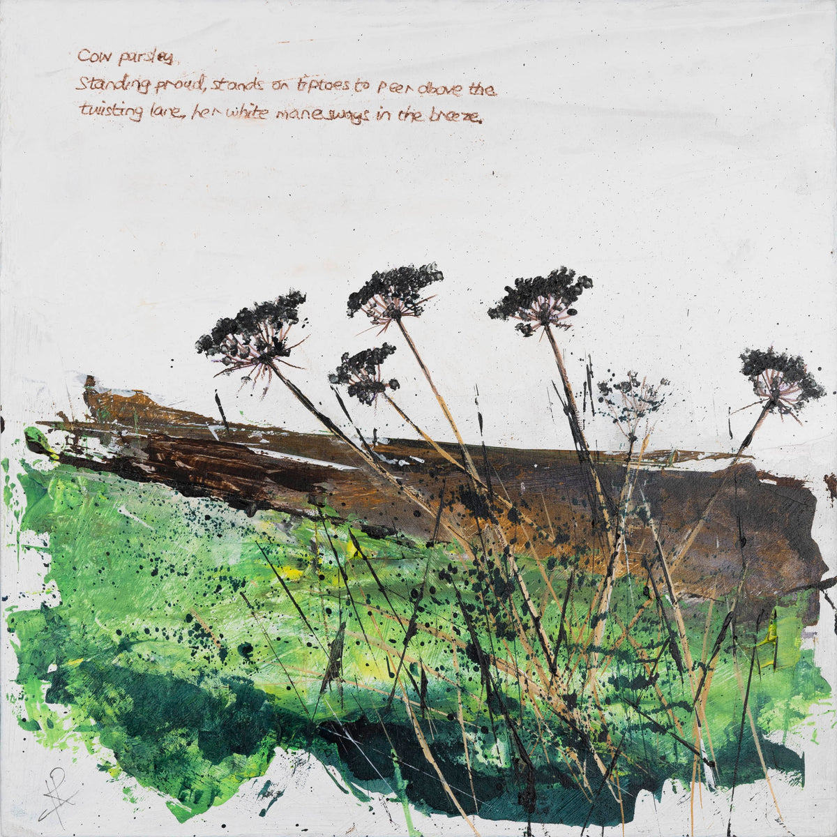 Cow Parsley by Ian Rawnsley available at Padstow Gallery, Cornwall