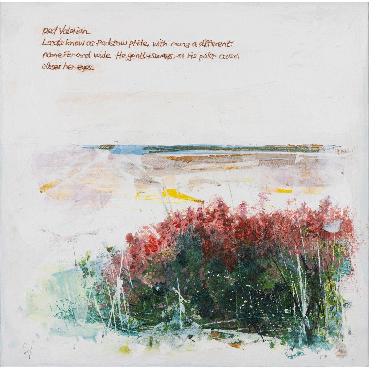 Red Valerian by Ian Rawnsley available at Padstow Gallery, Cornwall