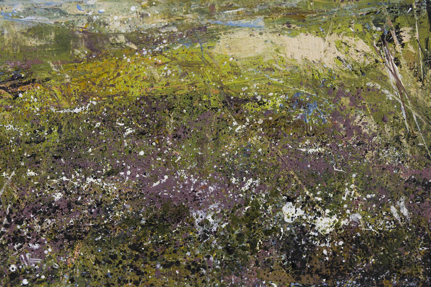 Moorland Colours