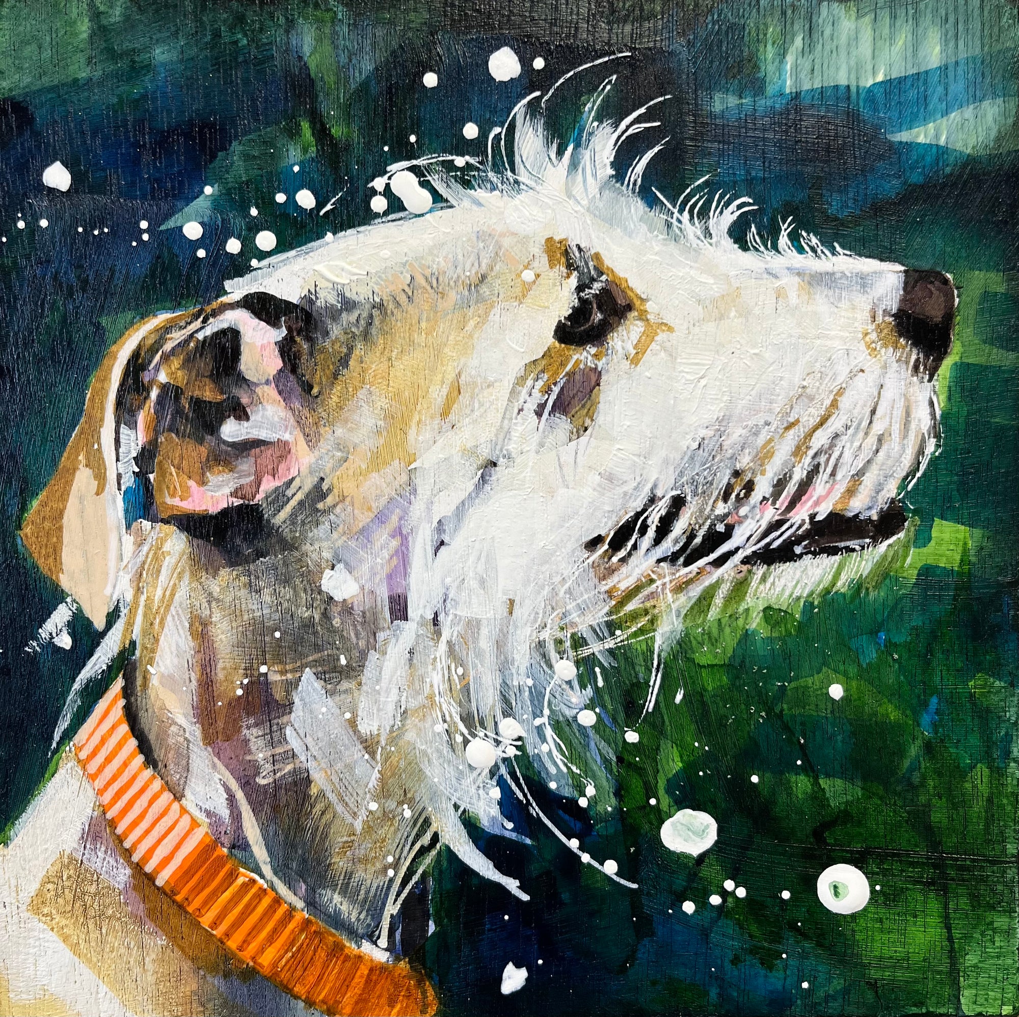 'Lola'  acrylic and ink by Lucy Davies, available at Padstow Gallery, Cornwall