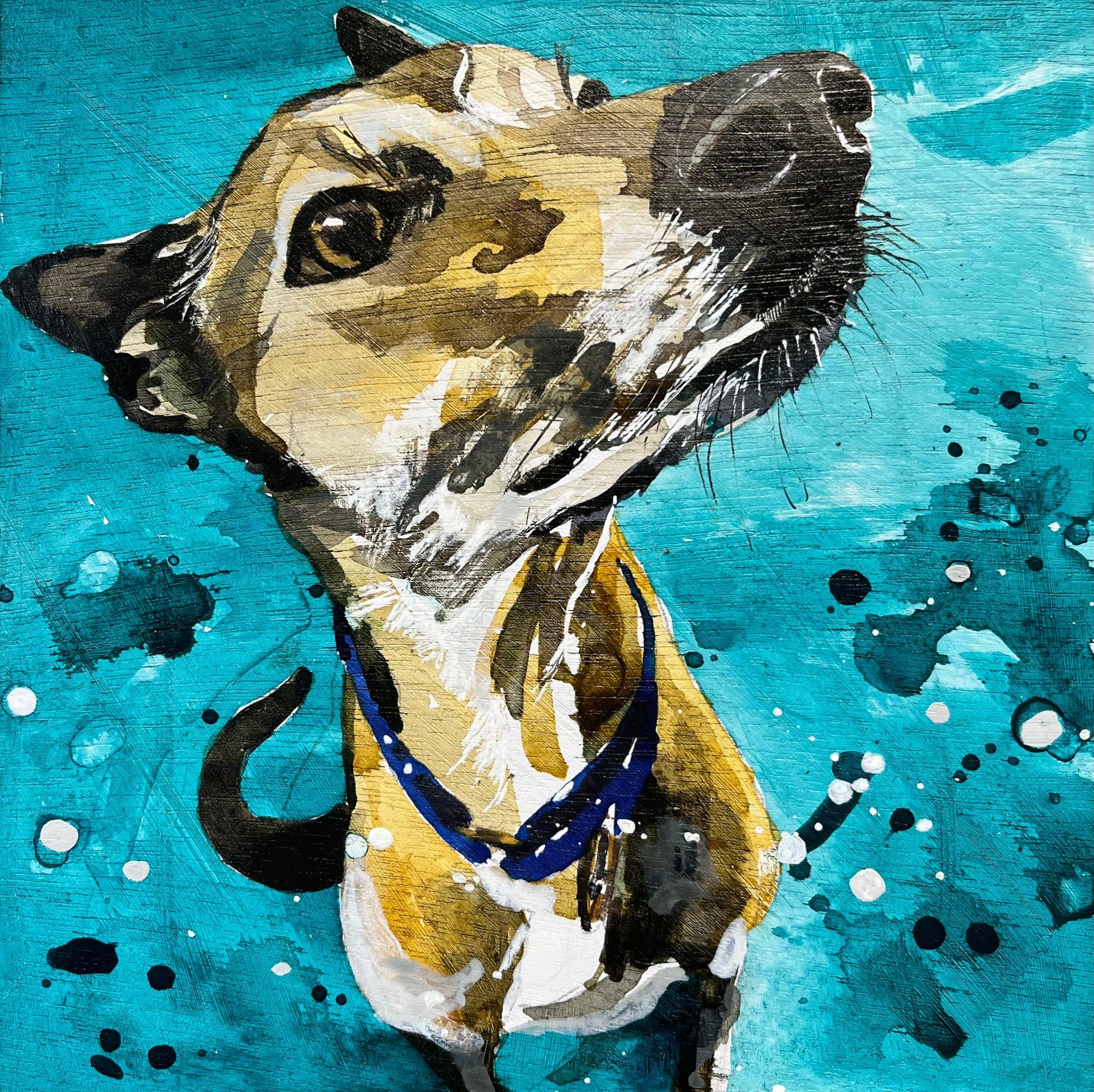 'Burt'  acrylic and ink by Lucy Davies, available at Padstow Gallery, Cornwall
