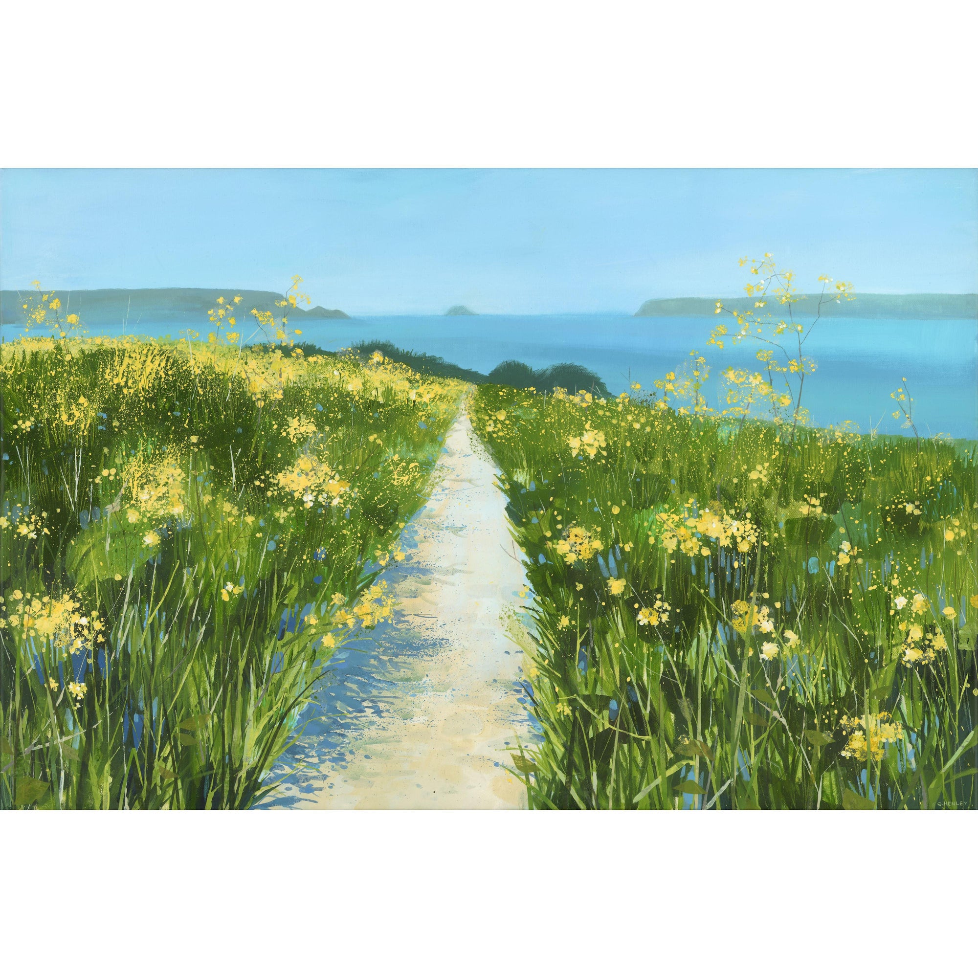 June walk, Camel Estuary, by Claire Henley, available at Padstow Gallery, Cornwall