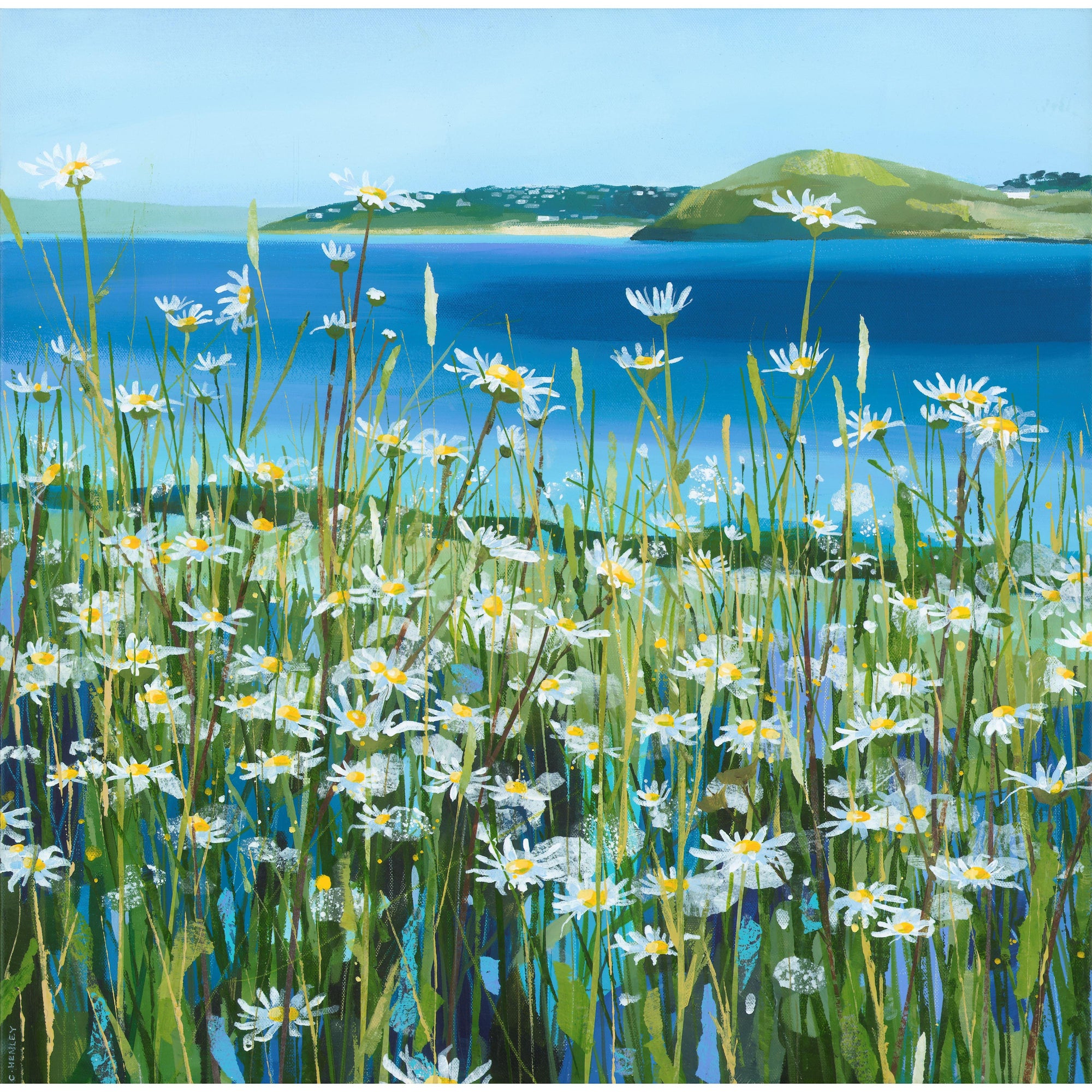 Oxeye Daisies, by Claire Henley, available at Padstow Gallery, Cornwall