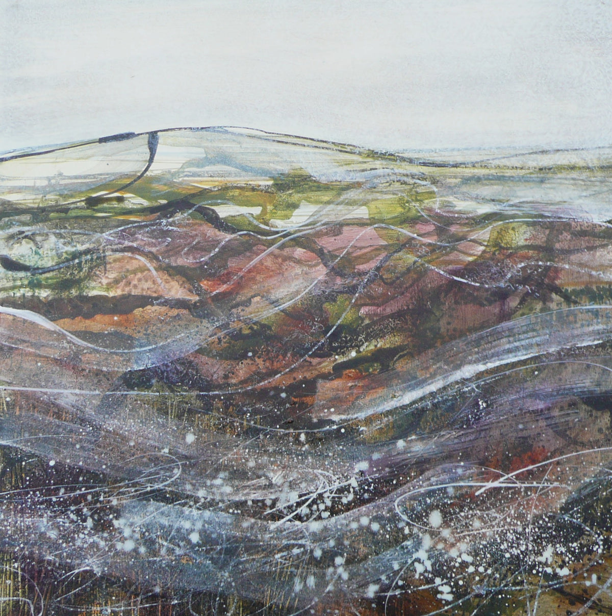 Cobweb heath, an oil original by Ruth Taylor available at Padstow Gallery, Cornwall