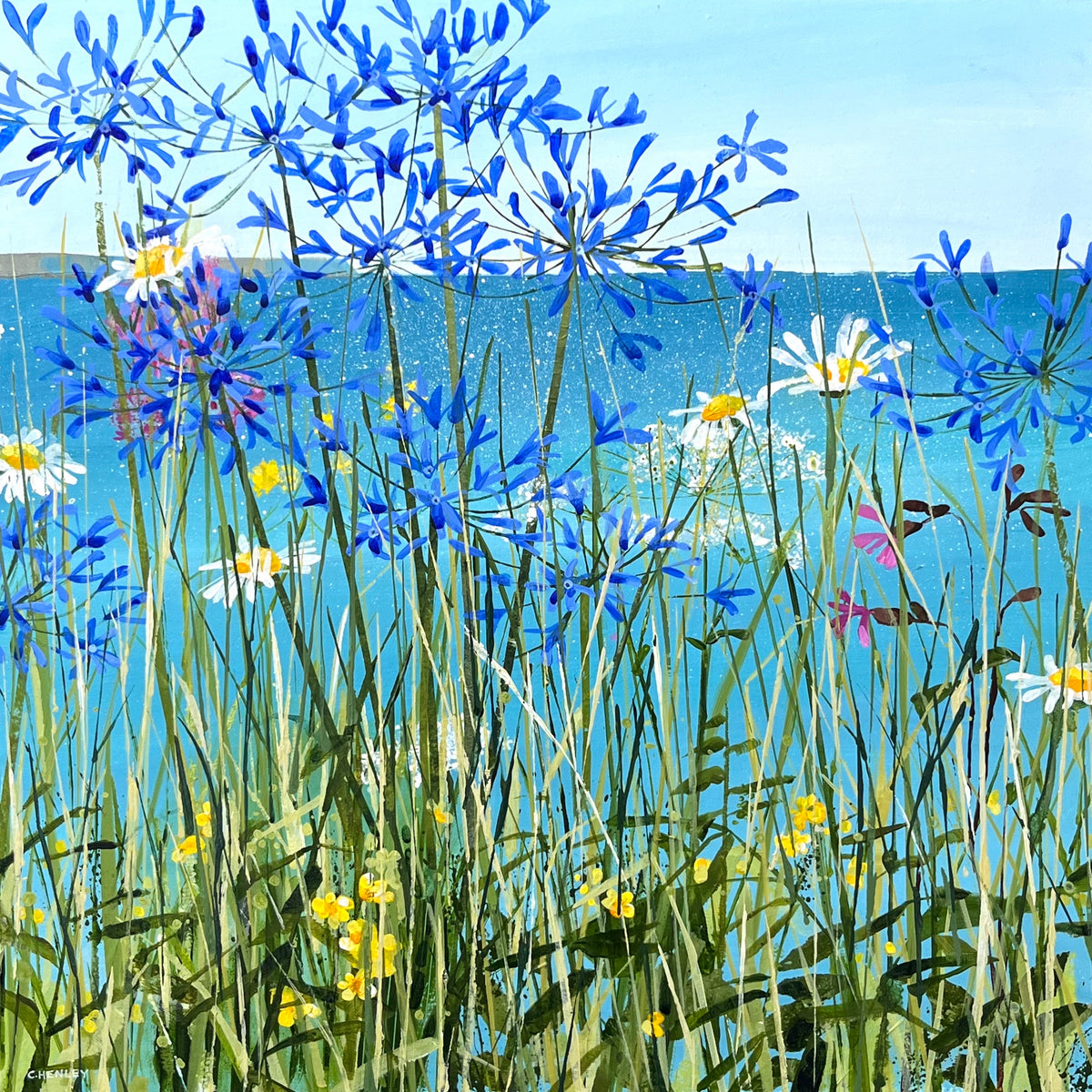 Summer Walk