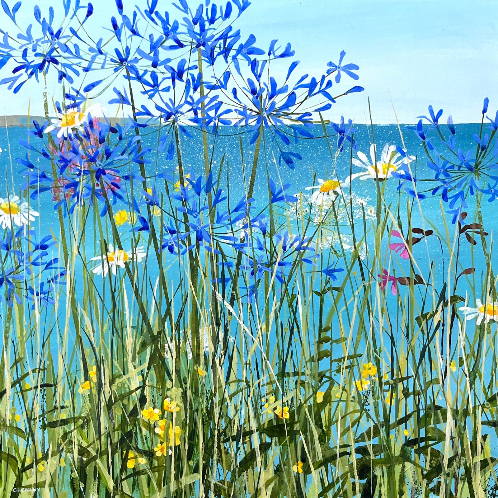 Summer Walk