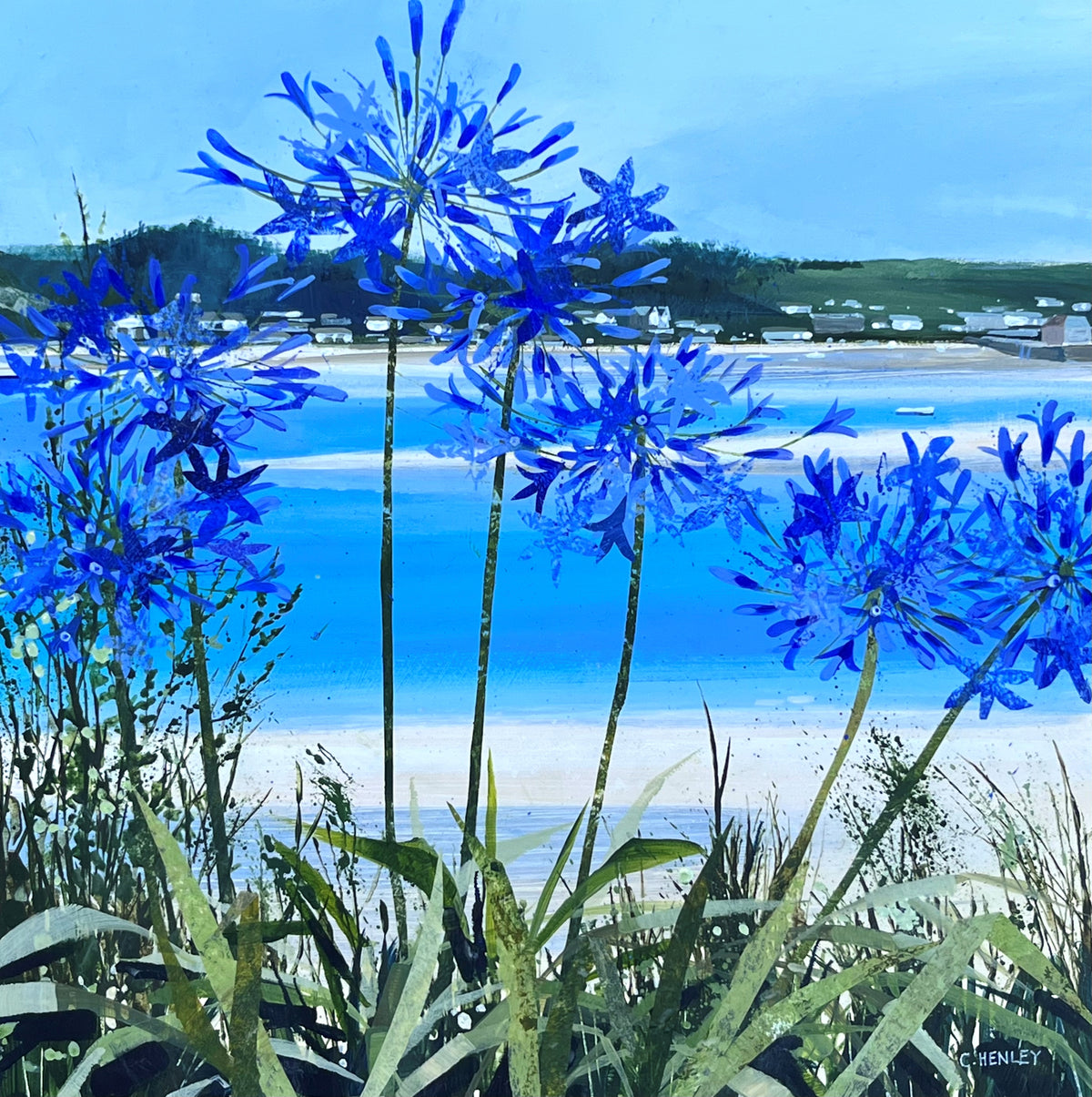 Through the agapanthus to Rock by Claire Henley, available at Padstow Gallery, Cornwall