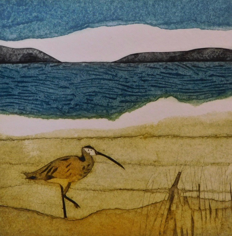 Curlew Calling, collagraph by Sarah Ross-Thompson, available at Padstow Gallery, Cornwall