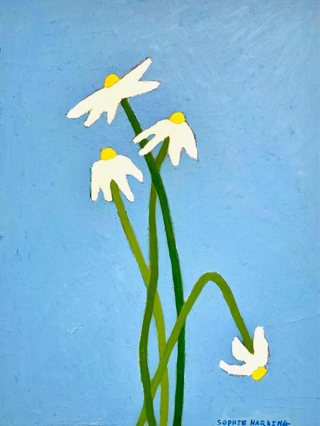 Four Daisies by Sophie Harding available at Padstow Gallery, Cornwall