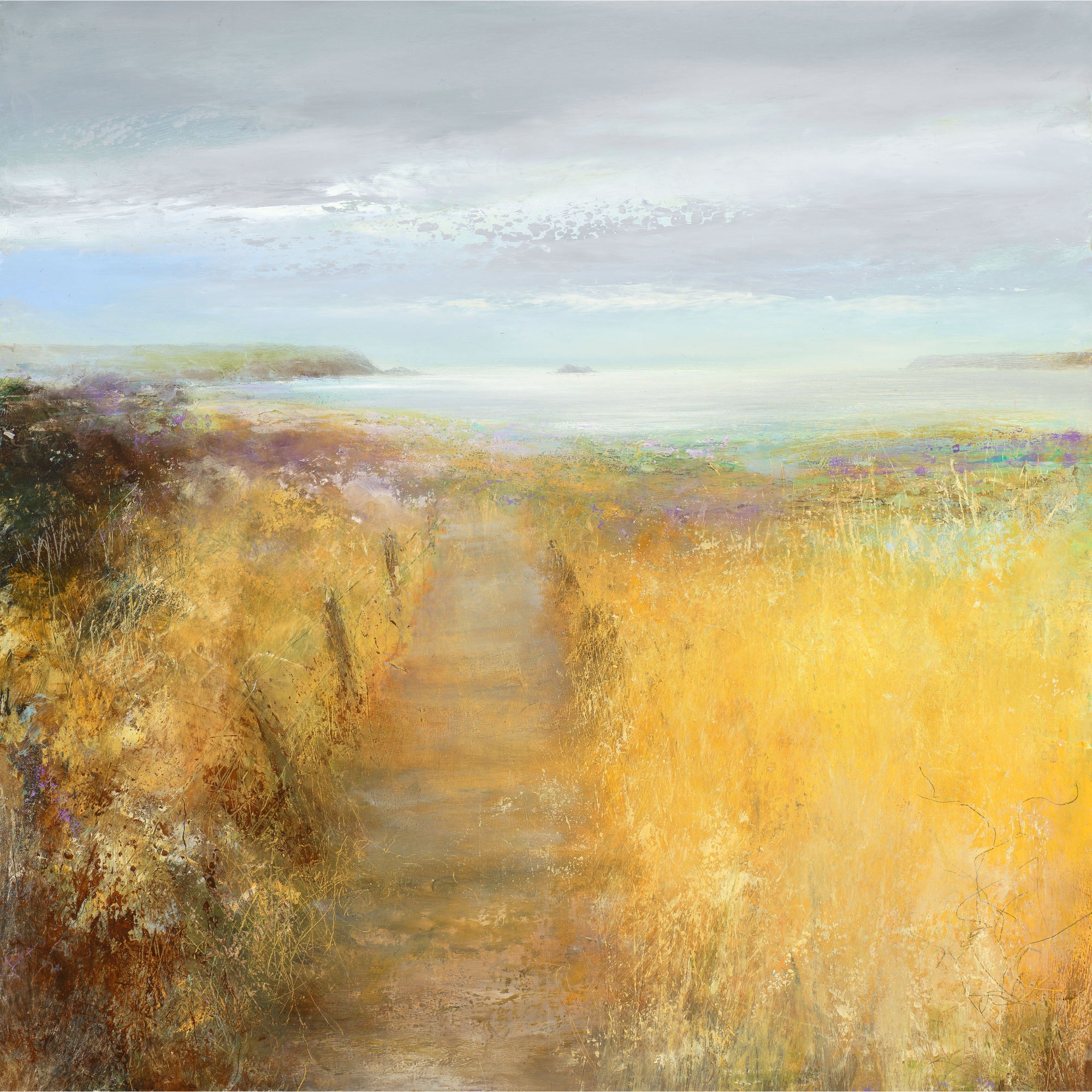 'Golden Fields Above Daymer Bay' oil on aluminium original by Amanda Hoskin, available at Padstow Gallery, Cornwall