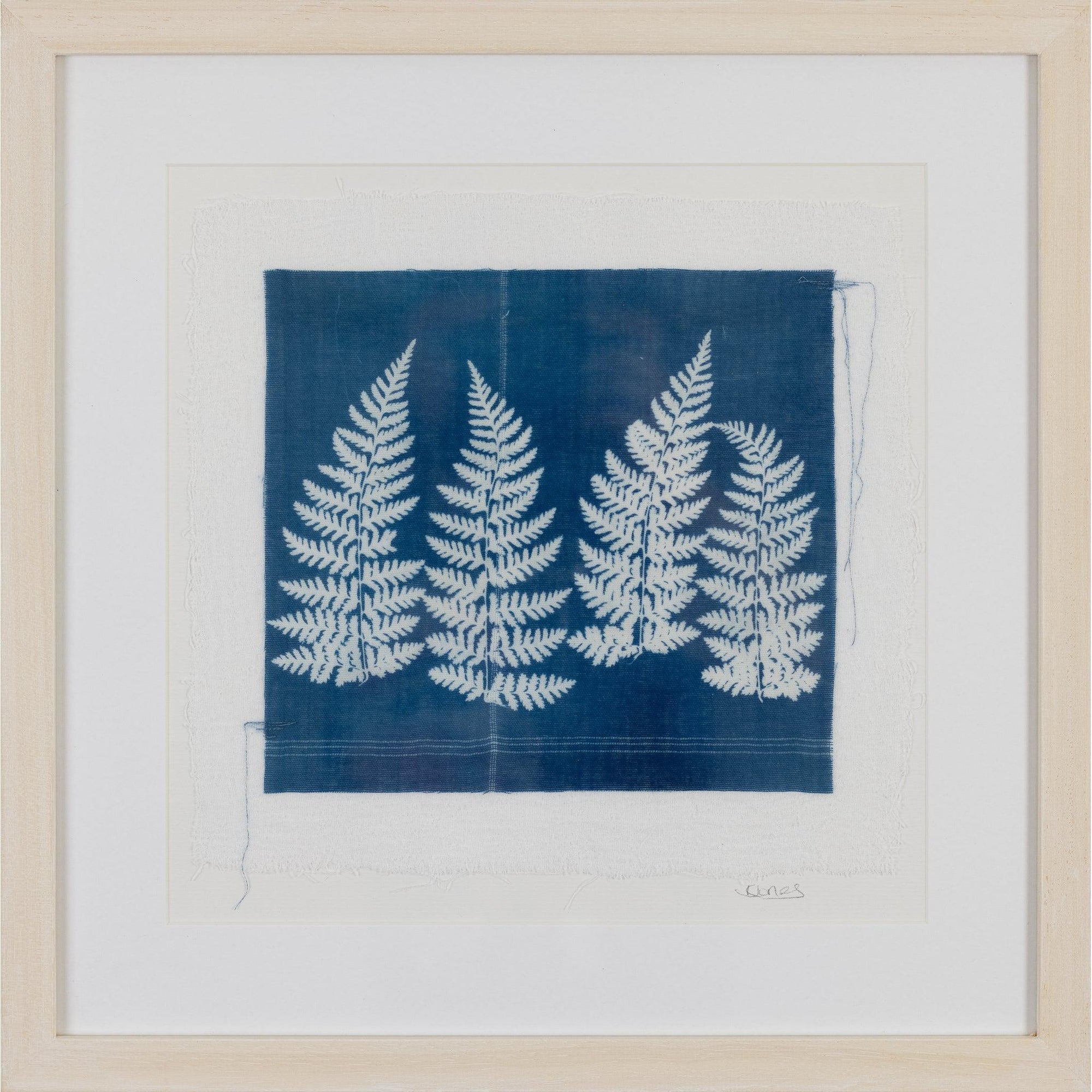 'Ferns' Cyanotype by Karen Jones, available at Padstow Gallery, Cornwall