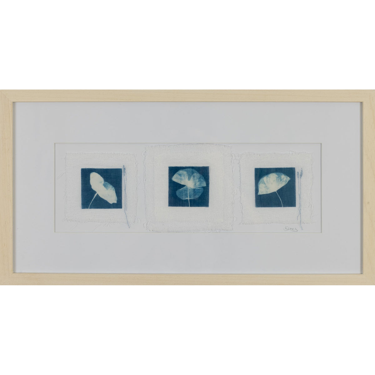 &#39;Flower Study&#39; Cyanotype by Karen Jones, available at Padstow Gallery, Cornwall