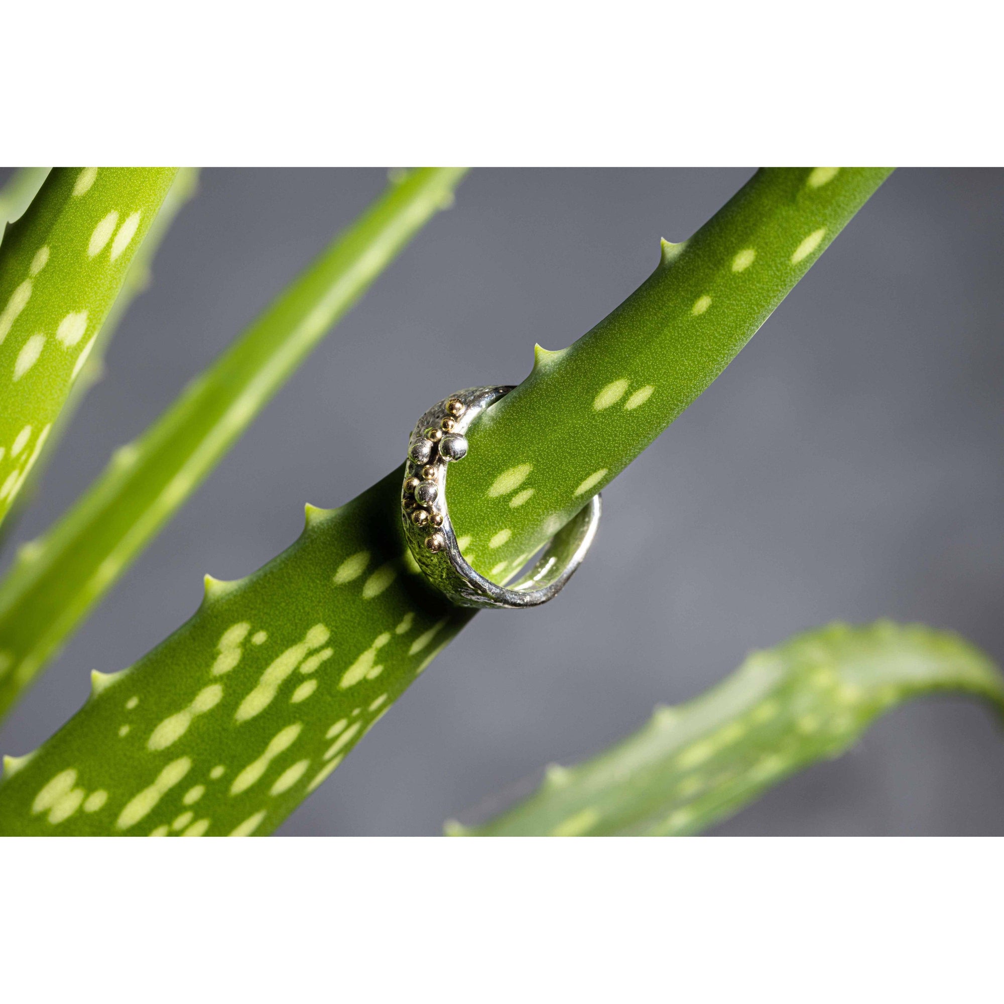 'SA R14 Organic Silver Ring' by Sandra Austin jewellery, available at Padstow Gallery, Cornwall