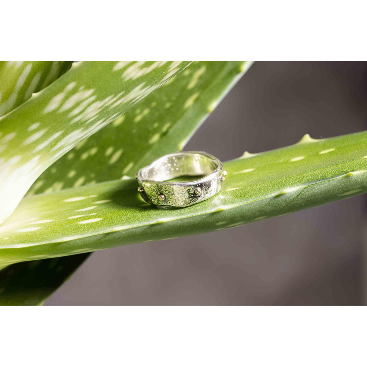 'SA R15 Organic Silver Ring' by Sandra Austin jewellery, available at Padstow Gallery, Cornwall