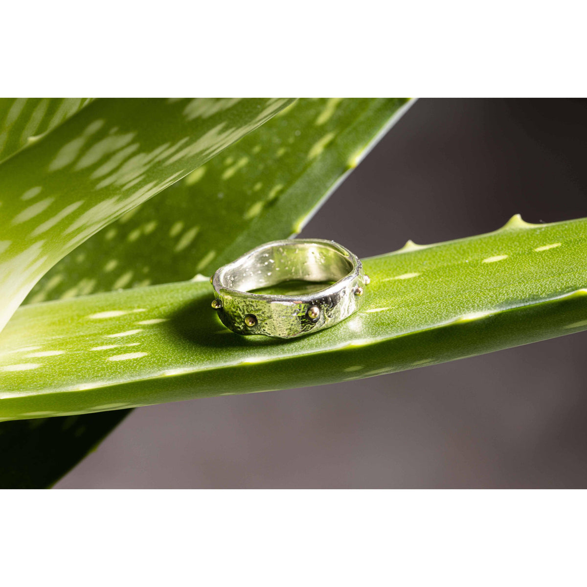 'SA R15 Organic Silver Ring' by Sandra Austin jewellery, available at Padstow Gallery, Cornwall