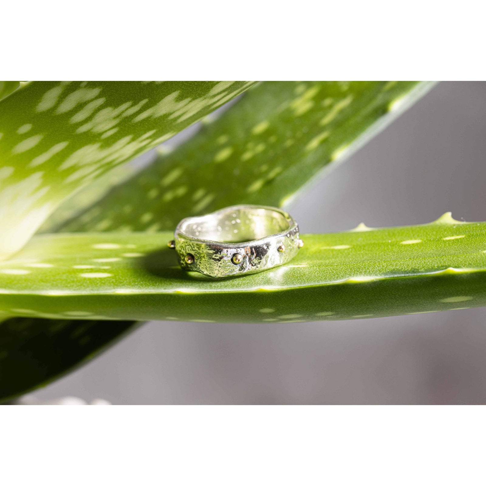 'SA R15 Organic Silver Ring' by Sandra Austin jewellery, available at Padstow Gallery, Cornwall