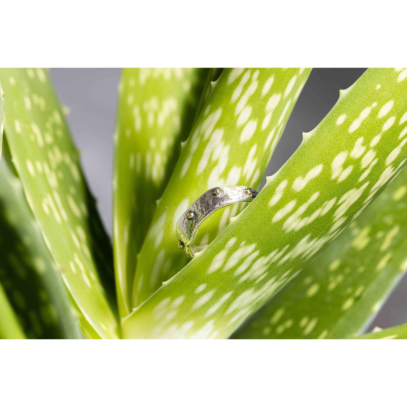 'SA R15 Organic Silver Ring' by Sandra Austin jewellery, available at Padstow Gallery, Cornwall