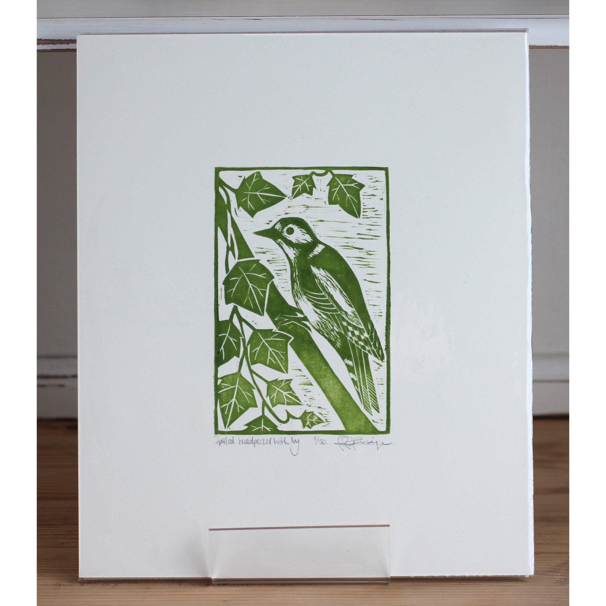 'Spotted woodpecker with Ivy' by printmaker, Rhys Partridge, available at Padstow Gallery, Cornwall